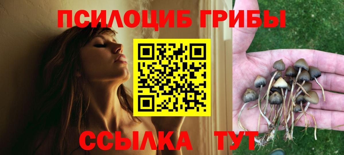 Псилоцибиновые грибы Cubensis Кинешма